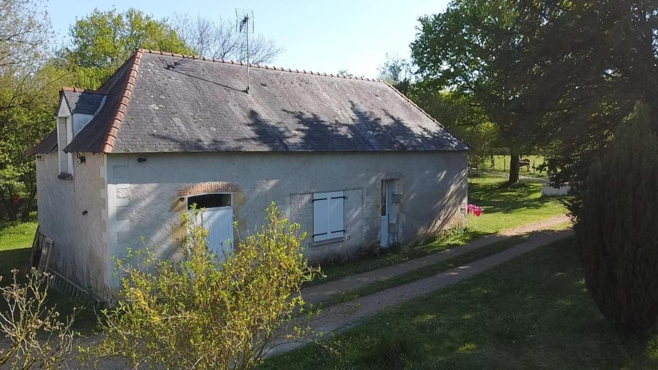Gite La Grande Racinaie Cre-sur-Loir Eksteriør billede